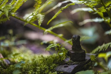Çek Cumhuriyeti, Orlicke Dağları 'ndaki eski su değirmeni kalıntıları