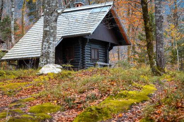 Sonbaharda ormanda kaybolmuş bir kulübe.