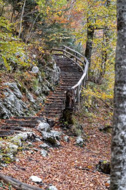 A view from the path leading leading to the Savica waterfall towards lake Bohinj, Slovenia in fall clipart