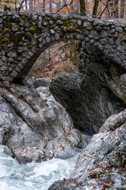 Savica şelalesindeki taş köprü, Triglav ulusal parkı, Slovenya. Bohinj 'deki Mala Savica nehri üzerindeki eski taş köprü.. 