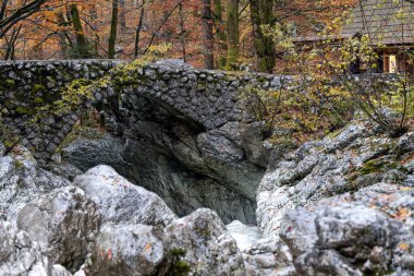 Stone bridge in Savica waterfall trail, Triglav national park, Slovenia. Old stone bridge across Mala Savica mountain river stream in Bohinj.  clipart