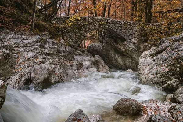 Savica şelalesindeki taş köprü, Triglav ulusal parkı, Slovenya. Bohinj 'deki Mala Savica nehri üzerindeki eski taş köprü.. 