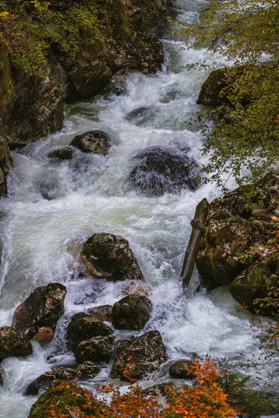 Savica şelalesindeki taş köprü, Triglav ulusal parkı, Slovenya. Bohinj 'deki Mala Savica nehri üzerindeki eski taş köprü.. 