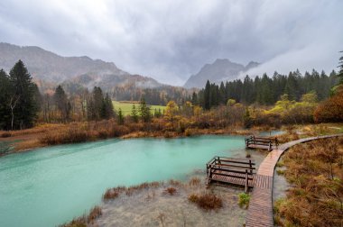 Julian Alps 'in arka planında Kranjska gora zirvesi olan resimli sonbahar sahnesi. Zelenci Doğa Koruma Alanı, Slovenya ve Avrupa 'nın harika sabah manzarası. Doğa konseptinin güzelliği.