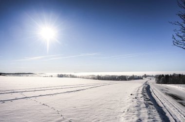 Kış ve sisli arazi, czechia 