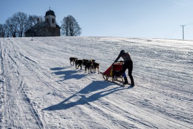 Sedivacek 'in uzun, Çek Cumhuriyeti' ndeki kızak yarışı. Çek dağlarının güzel çevresinde köpek kızağı kayıyor..