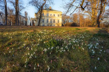 Kostelec nad Orlici - Novy zamek (Yeni Kale), kale 1829-1833 yılları arasında Çek Cumhuriyeti 'nde inşa edilmiştir. Eyalet kalesinde güneşli bir bahar günü. Çiçek açan.