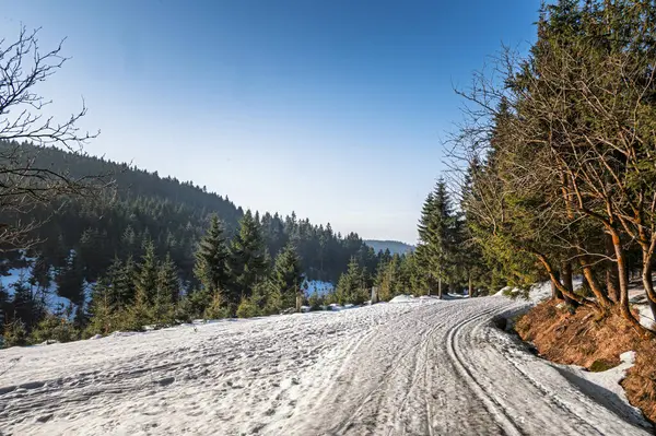 Orlick Dağları 'nda yürüyüş. Karın son kalıntıları, son kayakçılar. Bahar geliyor. Çek Cumhuriyeti