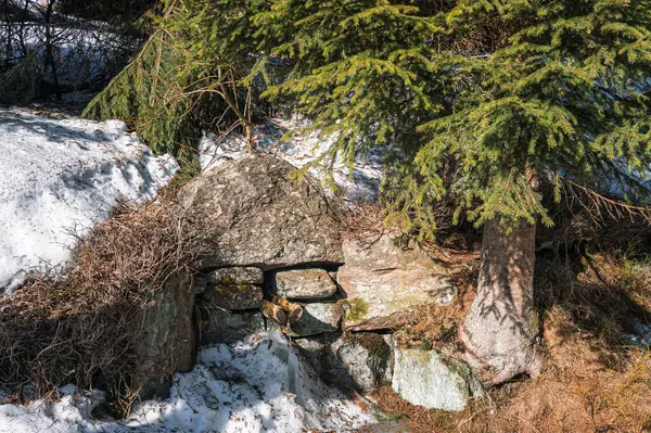 Orlick Dağları 'nda yürüyüş. Karın son kalıntıları, son kayakçılar. Bahar geliyor. Çek Cumhuriyeti
