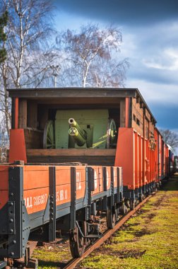 Tyniste nad Orlici, CZECH REPUBLIC - 1 Nisan 2025: Lejyoner tarihi sergisi
