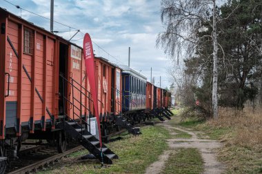 Tyniste nad Orlici, CZECH REPUBLIC - 1 Nisan 2025: Lejyoner tarihi sergisi