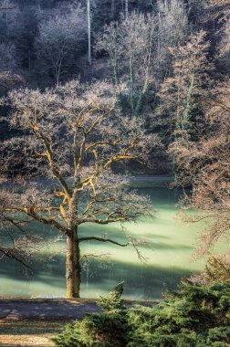 Opocno Kalesi 'nin oraya park et. Opocno şatosu, eski bir aristokrat konutundan oluşan karmaşık bir binadır. Dış atari salonları, Çek Cumhuriyeti 'nin Rönesans mimarisinin değerli bir örneğidir.