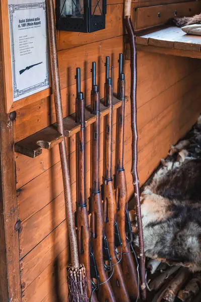 Tyniste nad Orlici, CZECH REPUBLIC - 1 Nisan 2025: Legiovlak tren sergisi Lejyoner tarihini gösteriyor. Trans-Sibirya Demiryolu 'ndan tarihi bir trenin içi.