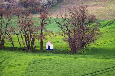 Moravia Tuscany 'de bahar mevsimi, Güney Moravya şarap bölgesi. Svatoborice, Güney Moravya, Çek Cumhuriyeti yakınlarındaki St. Barborkas şapeli manzaralı