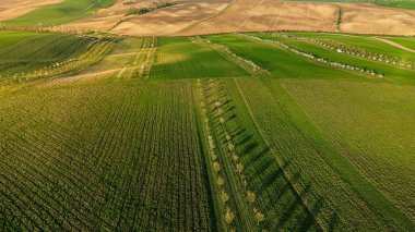Moravya Toskana 'daki tarım alanları İHA' dan Çek Cumhuriyeti hava görüntüsü 