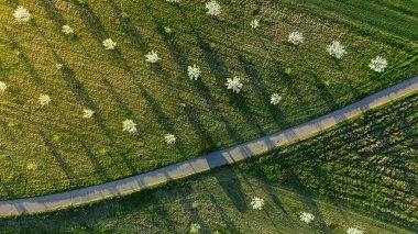 Moravya Toskana 'daki tarım alanları İHA' dan Çek Cumhuriyeti hava görüntüsü 