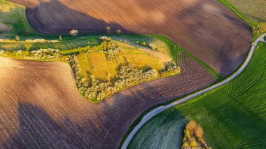 Moravya Toskana 'daki tarım alanları İHA' dan Çek Cumhuriyeti hava görüntüsü 