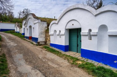 Moravya, Çek Cumhuriyeti tipik açık şarap mahzenleri grubu. Moravya şarap bölgesi, turizm. Geleneksel binalar. Turistik. Çekya'da şarapçılık, bağcılık