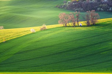 İlkbaharda Şapel, Güney Moravya, Çek Cumhuriyeti