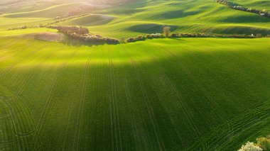 Çek Cumhuriyeti 'nin Güney Moravya kentindeki renkli günbatımında, hava manzarası, ünlü muhteşem şapel, güzel yeşil tarlalar ve kolza tohumu bokeh ile birlikte bahar manzarası.