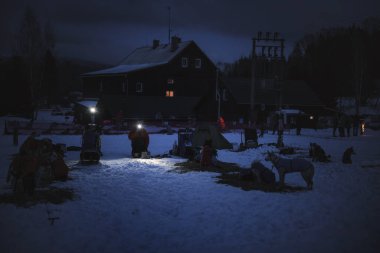 DESTNE, CZECH REPUBLIC - 25 Ocak 2025: Sedivacek 'in kışın dağ manzarasında uzun kızak yarışı. Husky kızak köpek yarışı. Kış köpeği kızak takımı yarışması. 