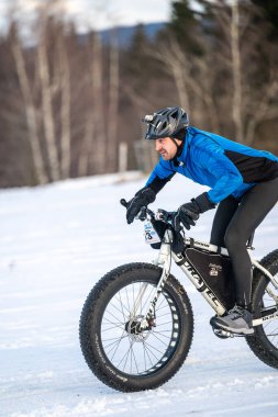 DESTNE, CZECH REPUBLIC - 25 Ocak 2025: Sedivacek 'in kışın dağ manzarasında uzun kızak yarışı. Husky kızak köpek yarışı. Kış köpeği kızak takımı yarışması. 