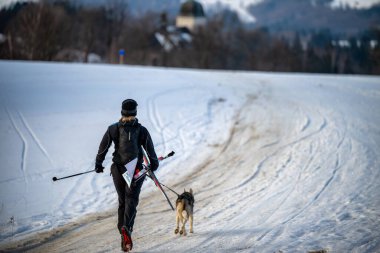 DESTNE, CZECH REPUBLIC - 25 Ocak 2025: Sedivacek 'in kışın dağ manzarasında uzun kızak yarışı. Husky kızak köpek yarışı. Kış köpeği kızak takımı yarışması. 