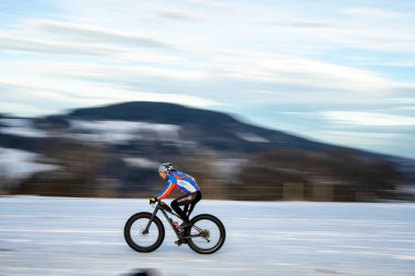 DESTNE, CZECH REPUBLIC - 25 Ocak 2025: Sedivacek 'in kışın dağ manzarasında uzun kızak yarışı. Husky kızak köpek yarışı. Kış köpeği kızak takımı yarışması. 