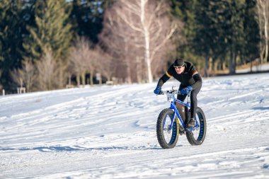 DESTNE, CZECH REPUBLIC - 25 Ocak 2025: Sedivacek 'in kışın dağ manzarasında uzun kızak yarışı. Husky kızak köpek yarışı. Kış köpeği kızak takımı yarışması. 