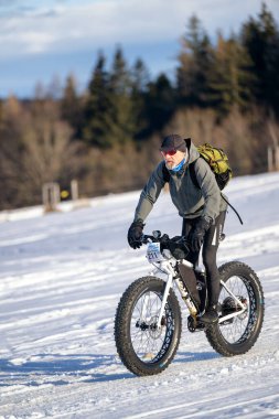 DESTNE, CZECH REPUBLIC - 25 Ocak 2025: Sedivacek 'in kışın dağ manzarasında uzun kızak yarışı. Husky kızak köpek yarışı. Kış köpeği kızak takımı yarışması. 