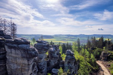 Korunan arazide kayalar Broumov duvarları, Ostas - Çek Cumhuriyeti, Avrupa