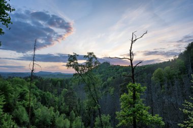 Çek İsviçre Kuzey Bohemya 'sı. Vysoka Lpa 'nın çevresindeki manzara. Ulusal Park Bohemian İsviçre.