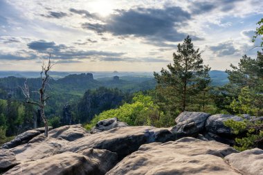 Almanya 'da Carolafelsen, kumtaşı uçurumundan Saksonya İsviçre' nin derin sisli vadisine güzel bir akşam manzarası. Kumtaşı zirveleri sisli arka plandan yükseldi. Vahşi doğada akşam manzarası..