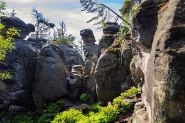 Ostas Doğa Rezervi ve masa dağı manzarası, Broumov bölgesi, Çek Cumhuriyeti. Kayalar, mağaralar, tuhaf kumtaşı oluşumları. Kayalardan oluşan labirentli doğal kasaba. Romantik kayalık kanyon.