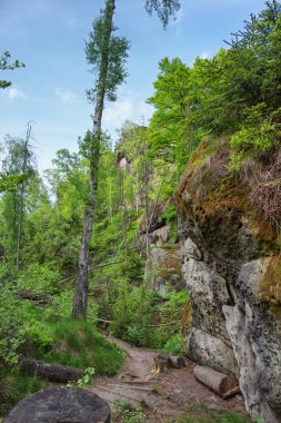 sakson İsviçre'de idagrotte yürüyüş parkuru, Almanya