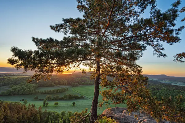 Pfaffenstein masa tepesi dağ, kumtaşı uçurumundan Saksonya İsviçre 'nin derin sisli vadisine güzel bir sabah manzarası. Kum taşı zirveleri sisli Almanya 'dan yükseldi.