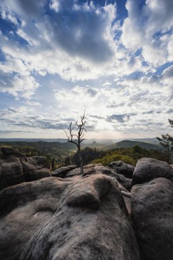 Almanya 'da Carolafelsen, kumtaşı uçurumundan Saksonya İsviçre' nin derin sisli vadisine güzel bir akşam manzarası. Kumtaşı zirveleri sisli arka plandan yükseldi. Vahşi doğada akşam manzarası..