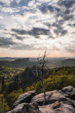 Almanya 'da Carolafelsen, kumtaşı uçurumundan Saksonya İsviçre' nin derin sisli vadisine güzel bir akşam manzarası. Kumtaşı zirveleri sisli arka plandan yükseldi. Vahşi doğada akşam manzarası..