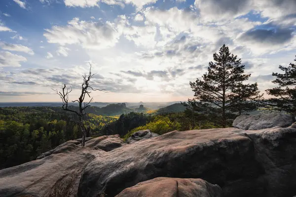 Almanya 'da Carolafelsen, kumtaşı uçurumundan Saksonya İsviçre' nin derin sisli vadisine güzel bir akşam manzarası. Kumtaşı zirveleri sisli arka plandan yükseldi. Vahşi doğada akşam manzarası..