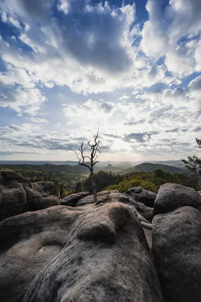 Almanya 'da Carolafelsen, kumtaşı uçurumundan Saksonya İsviçre' nin derin sisli vadisine güzel bir akşam manzarası. Kumtaşı zirveleri sisli arka plandan yükseldi. Vahşi doğada akşam manzarası..