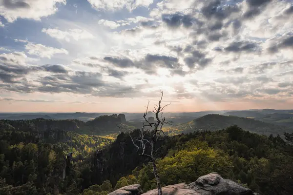 Almanya 'da Carolafelsen, kumtaşı uçurumundan Saksonya İsviçre' nin derin sisli vadisine güzel bir akşam manzarası. Kumtaşı zirveleri sisli arka plandan yükseldi. Vahşi doğada akşam manzarası..