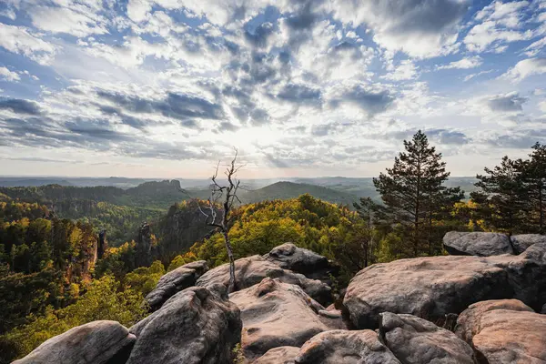 Almanya 'da Carolafelsen, kumtaşı uçurumundan Saksonya İsviçre' nin derin sisli vadisine güzel bir akşam manzarası. Kumtaşı zirveleri sisli arka plandan yükseldi. Vahşi doğada akşam manzarası..