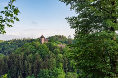 Tarihsel şato Litice, Bohemya, Çek Cumhuriyeti Büyülü bahar günbatımı ormanda. Fantezi ormanlık arka plan.