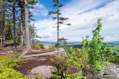 Ostas doğa rezervi, masa dağı, kaya labirenti.