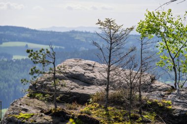 Ostas doğa rezervi, masa dağı, kaya labirenti.