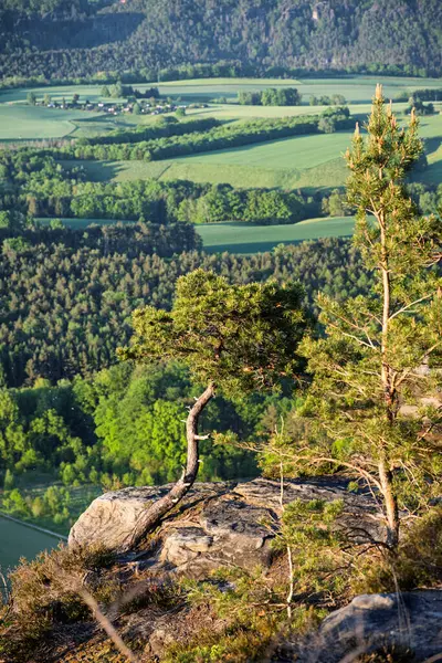 Günbatımı, Lilienstein 'da görüldüğü gibi Sakson İsviçre' nin verimli bahar manzarasına ılık bir ışıltı yayar. Tarlalar ve ormanlar genişliyor, dingin ve görkemli bir zemin oluşturuyor..