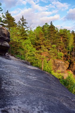 View from Carolafelsen towards Schrammsteine sandstone massif,  in Saxon Switzerland, Deutschland