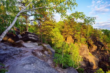 View from Carolafelsen towards Schrammsteine sandstone massif,  in Saxon Switzerland, Deutschland