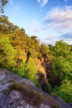 View from Carolafelsen towards Schrammsteine sandstone massif,  in Saxon Switzerland, Deutschland