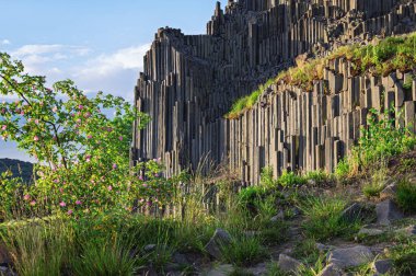 Herrnhausfelsen olarak da adlandırılan bazalt sütunların çokgen yapılarına, Prachen (Çek Cumhuriyeti) yakınlarındaki doğal anıt Panska skala 'ya bakınız. Bazalt, patlamadan sonra oluşan bir volkanik kayadır..